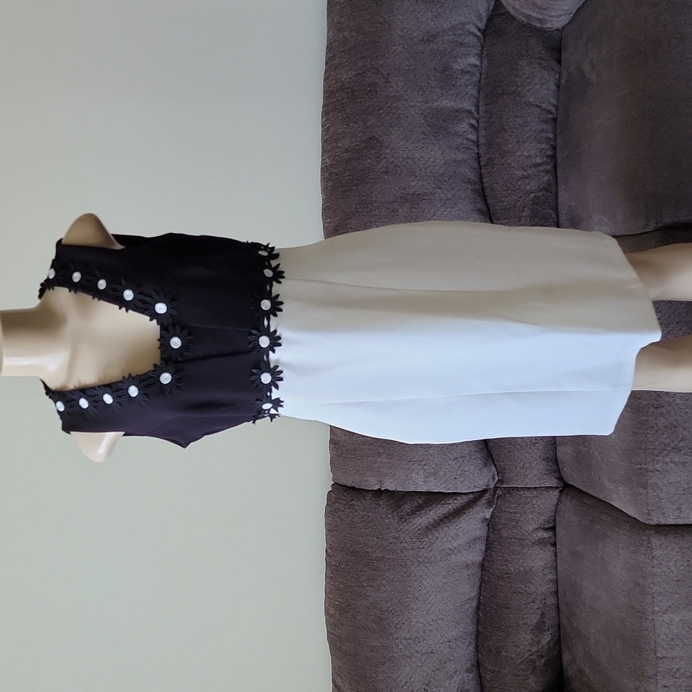 Taylor Black and White Dress